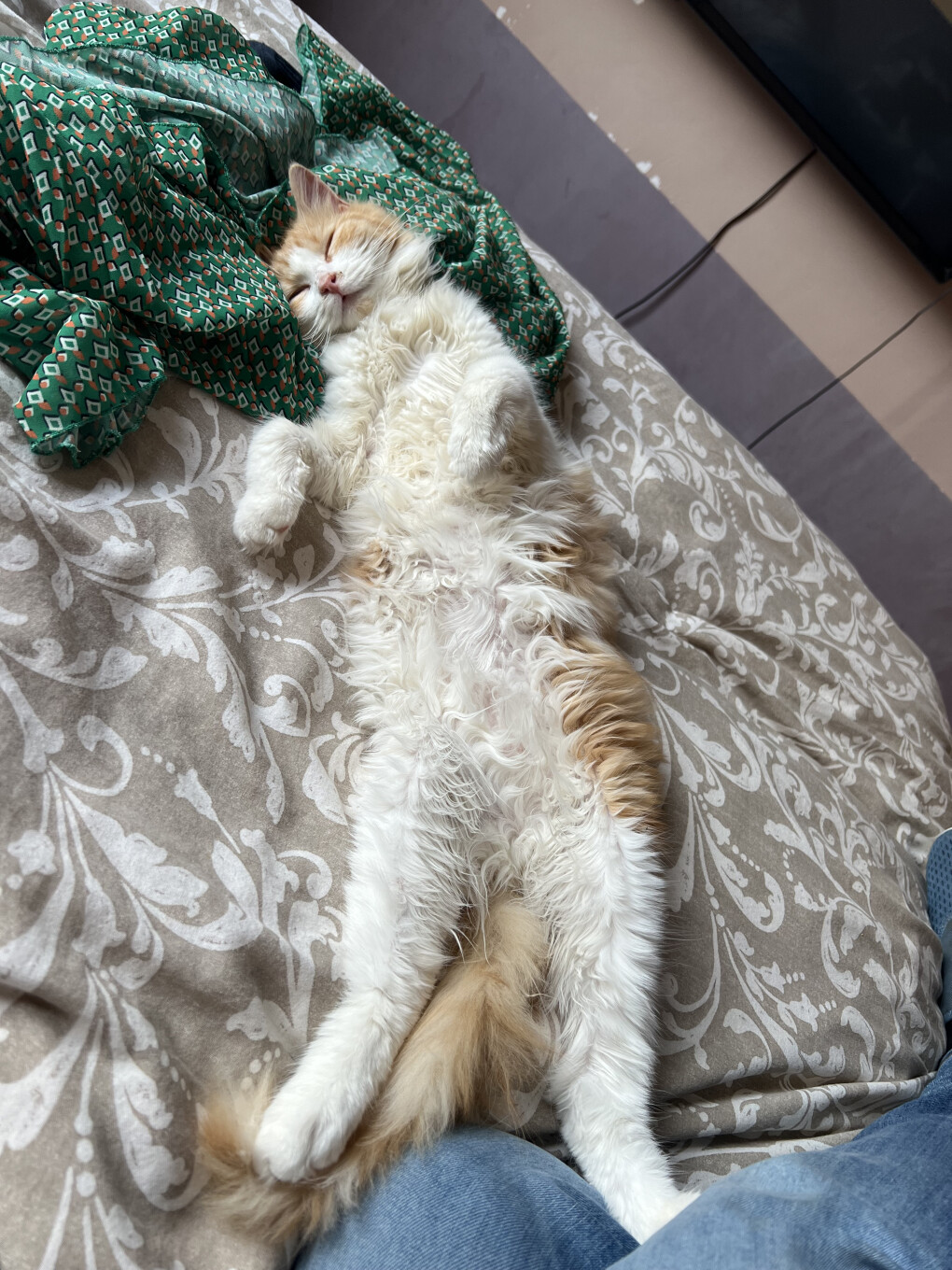 6470921.jpg 6470921.jpg