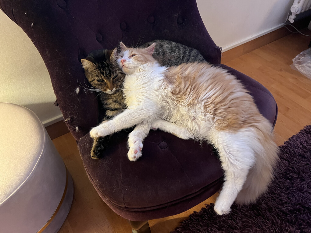 6470922.jpg 6470922.jpg