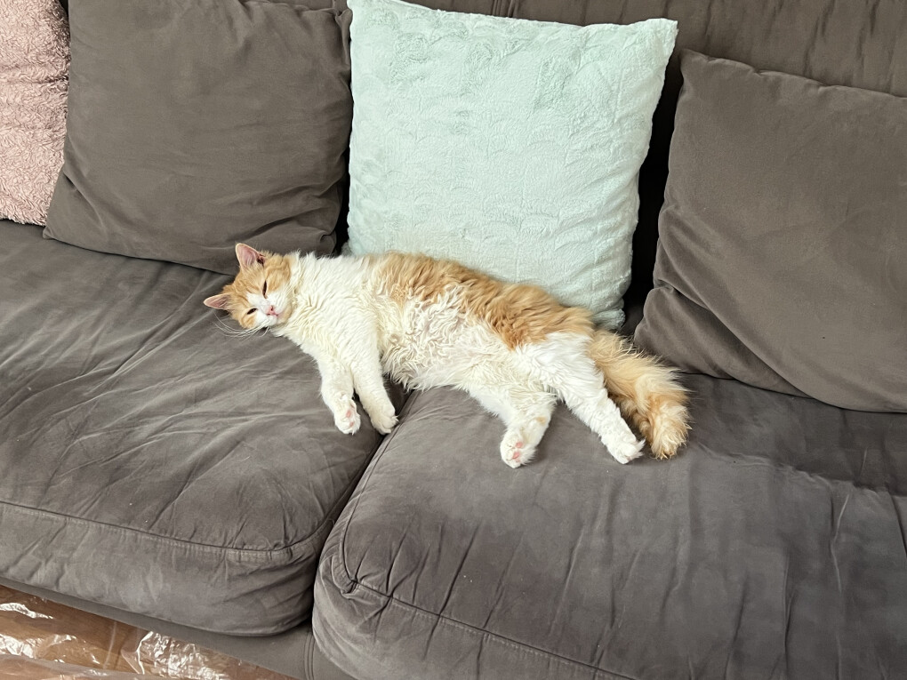 6470923.jpg 6470923.jpg