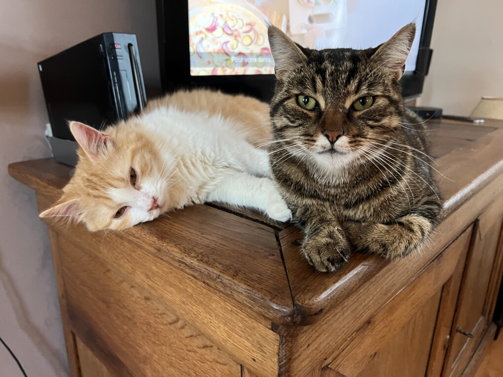 6470924.jpg 6470924.jpg