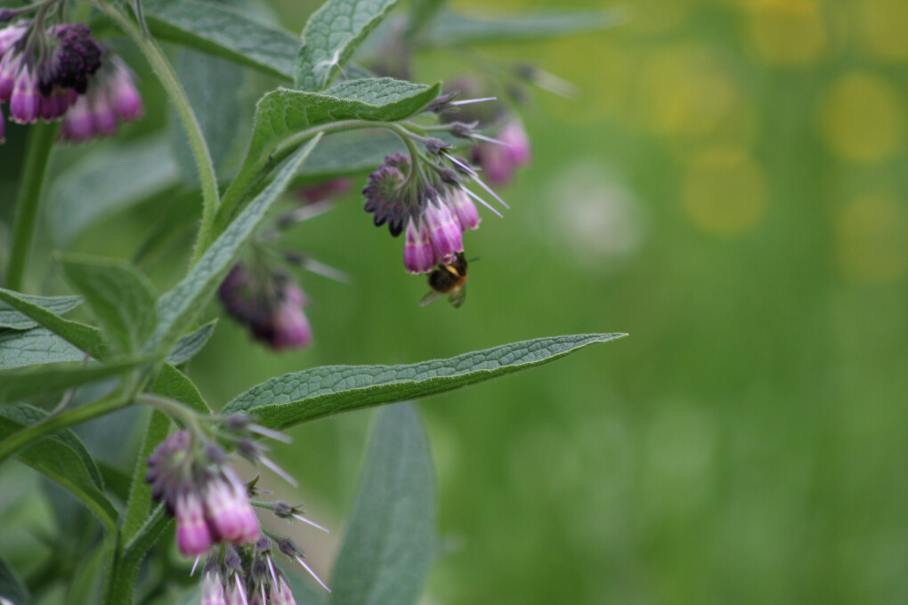 6470962.jpg 6470962.jpg