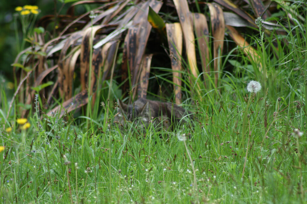 6470967.jpg 6470967.jpg