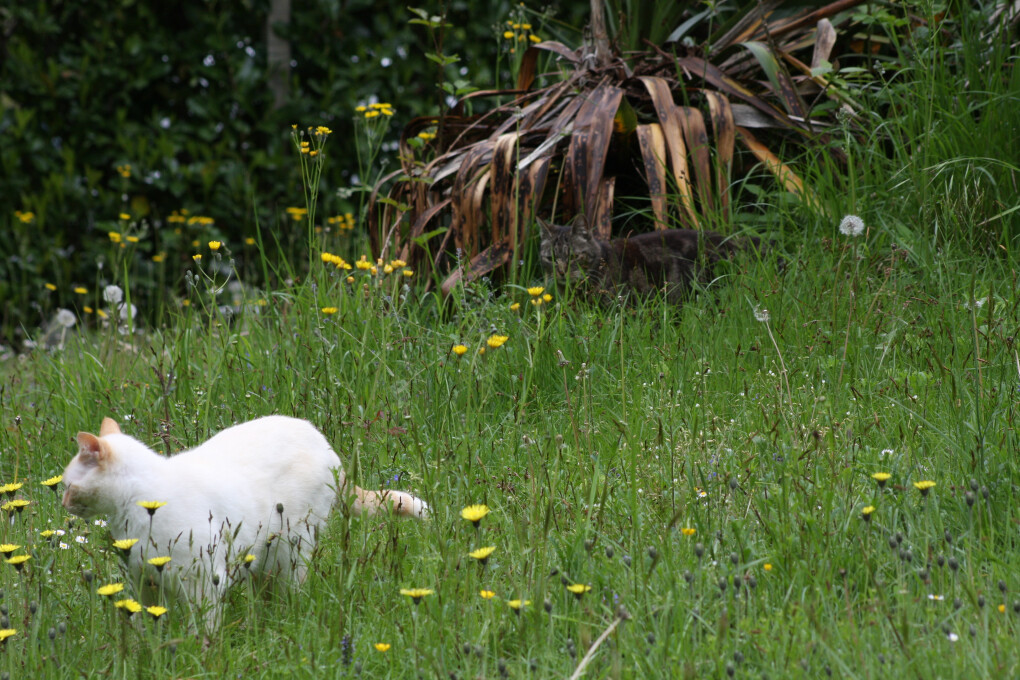 6470980.jpg 6470980.jpg