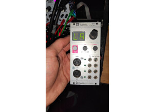 Mutable Instruments Yarns (114)
