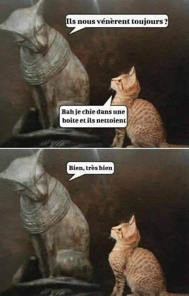 6471719.jpeg 6471719.jpeg