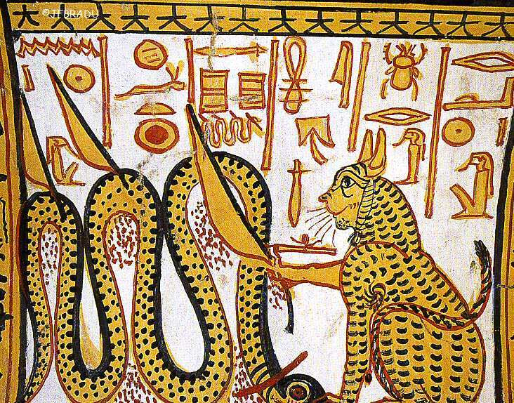 6471743.png 6471743.png