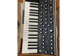 Moog Music SUB 37 (30643)