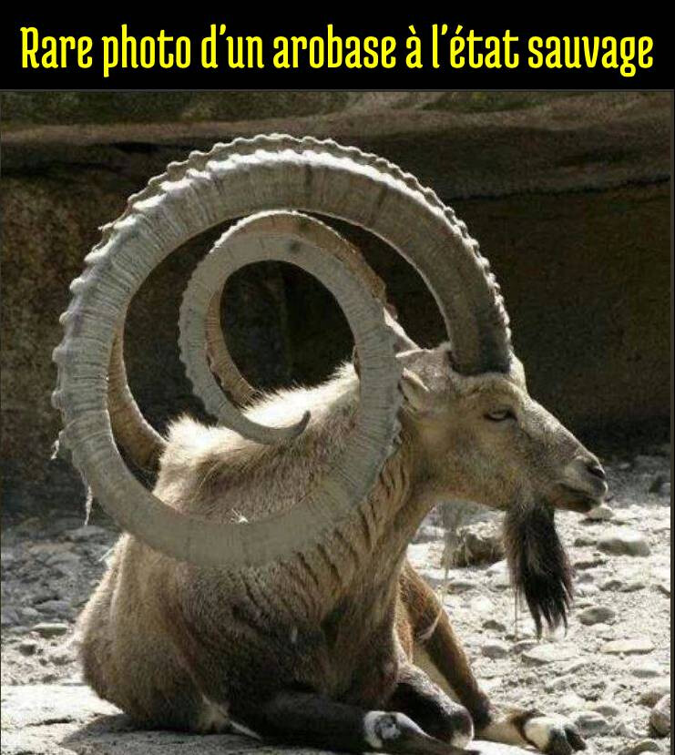 6472517.jpg 6472517.jpg