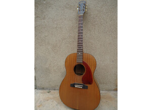 Gibson LG 0 (5445)