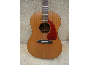 Gibson LG 0 (60287)