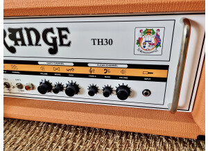 Orange TH30 Head (82206)