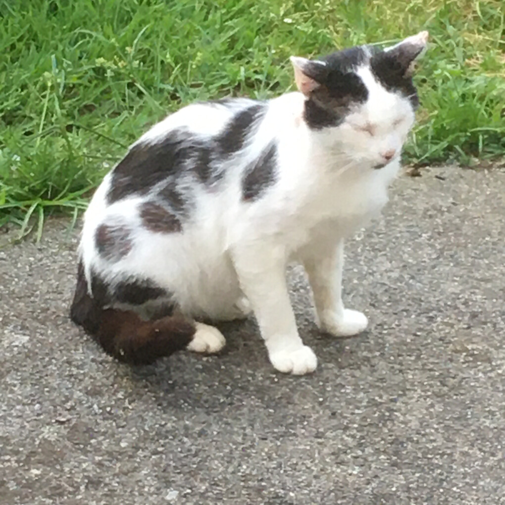 6475775.jpg 6475775.jpg