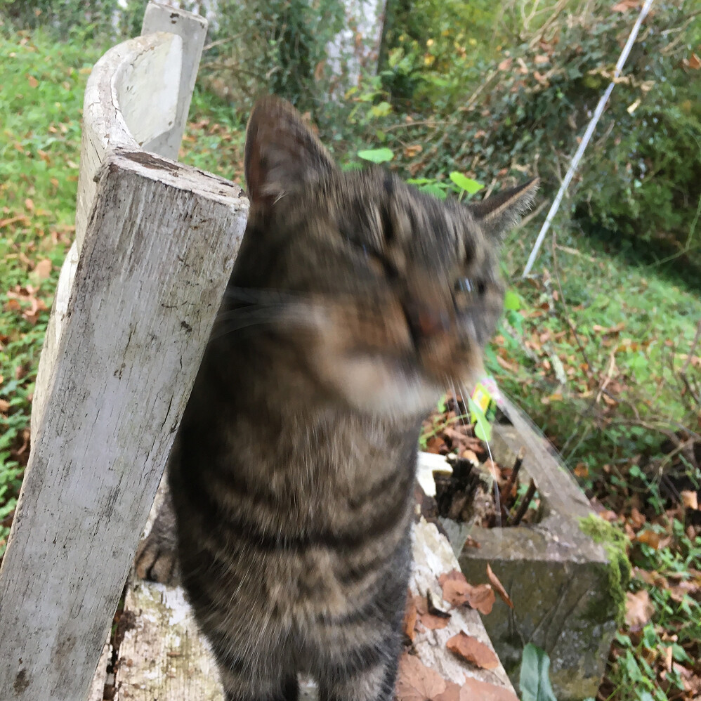 6475776.png 6475776.png