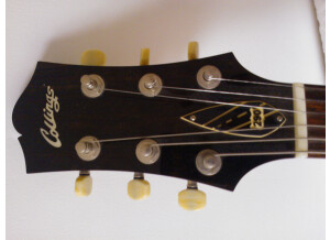 Collings 290 (32378)