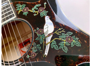 Gibson Dove (10508)