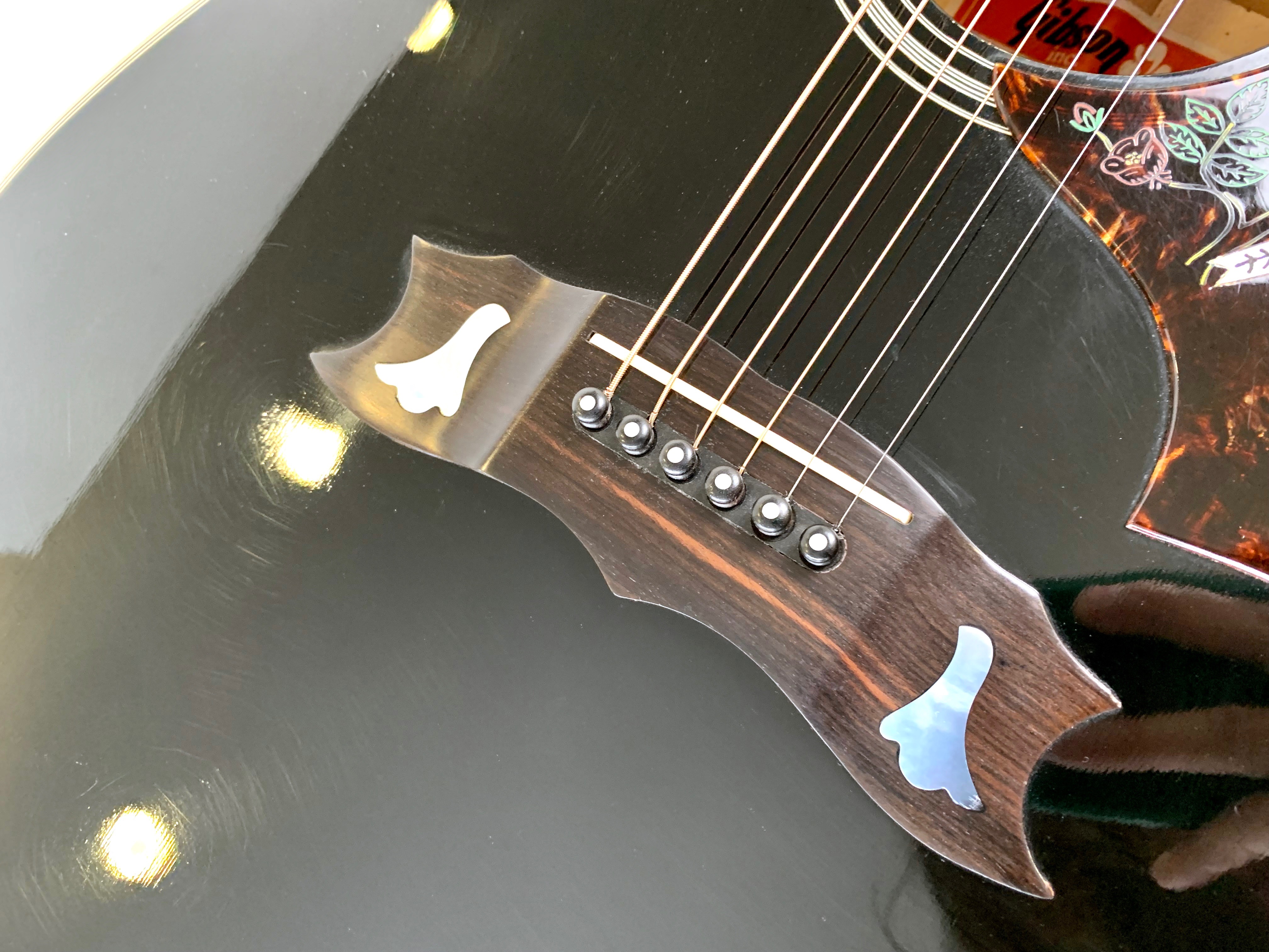Gibson Dove (65563)