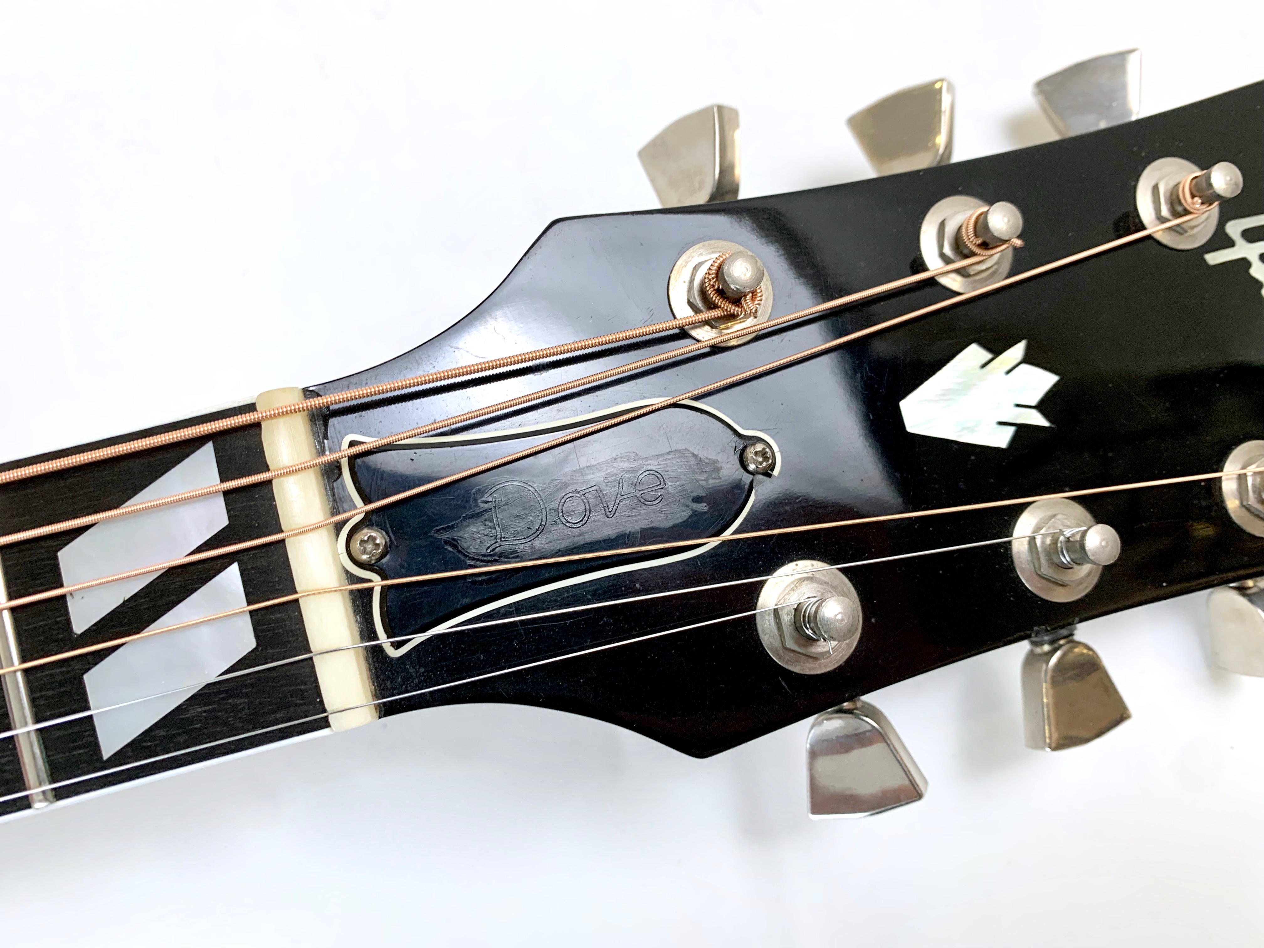 Gibson Dove (2016)