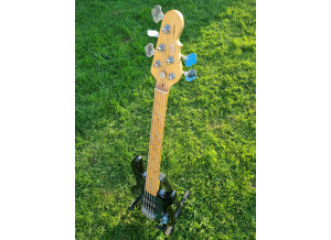 G&L Tribute L-2500  (85192)