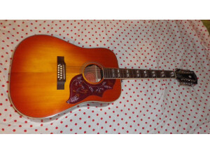 Epiphone Inspired by Gibson Hummingbird 12-String (11289)