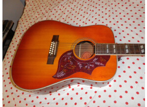Epiphone Inspired by Gibson Hummingbird 12-String (89434)
