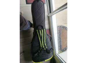 Ormsby Guitars GTI-S 6 Standard (32333)