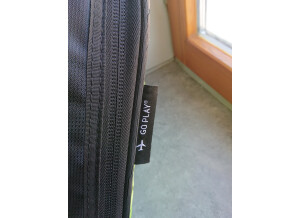 Ormsby Guitars GTI-S 6 Standard (61947)