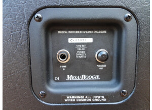 Mesa Boogie Mini Rectifier Twenty Five Head (9068)