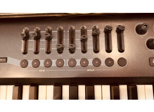 M-Audio Axiom 49 (14542)