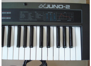 Roland JUNO-2 (66128)