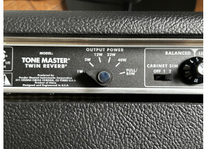 Fender Tone Master Twin Reverb (55360)