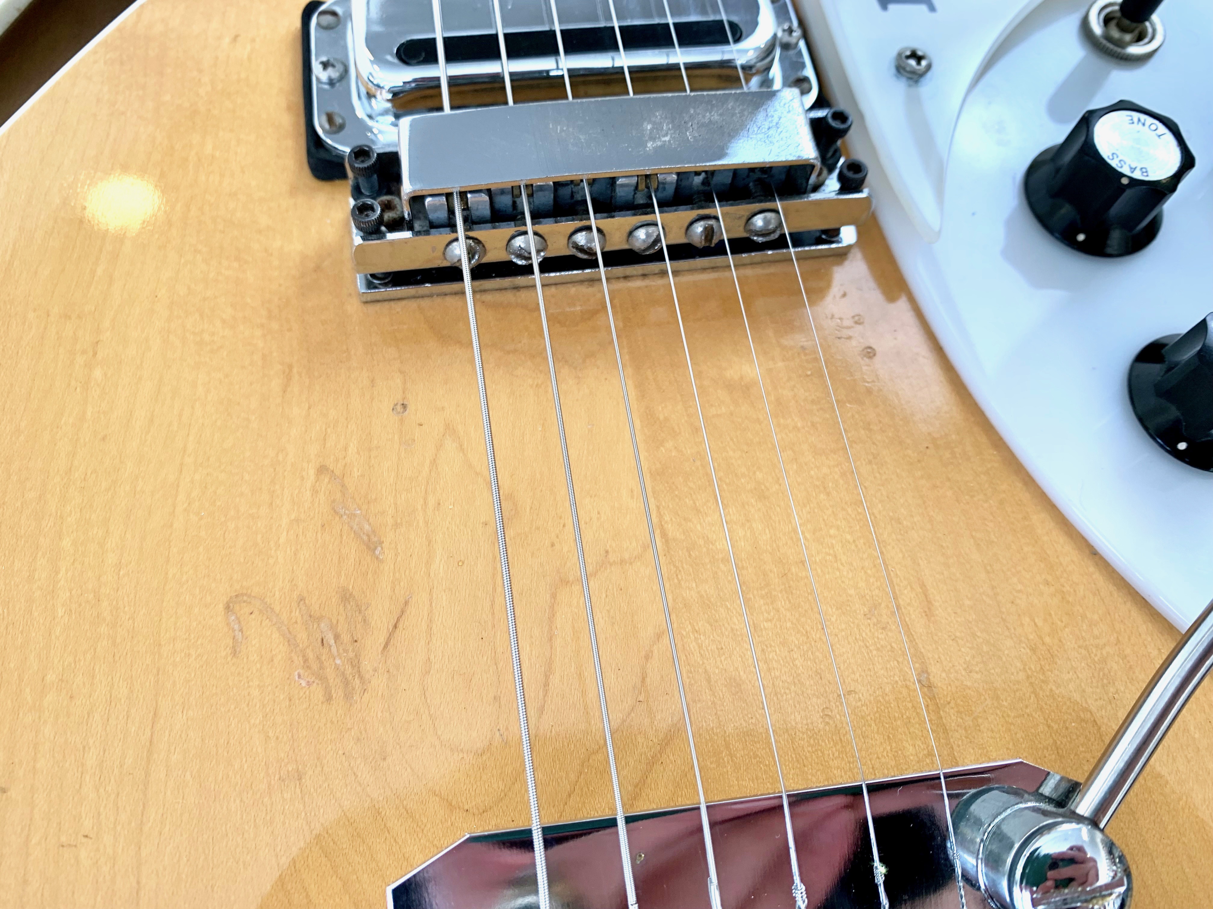 Rickenbacker 375 (66988)