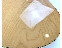 Rickenbacker 375 (30731)