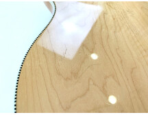 Rickenbacker 375 (92668)