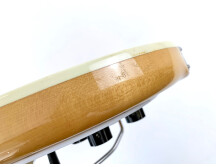 Rickenbacker 375 (75160)