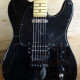 Avril Lavigne Telecaster with Skull and Crossbones Logo Avril Lavigne Telecaster with Skull and Crossbones Logo