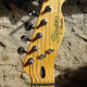 Avril Lavigne Telecaster with Skull and Crossbones Logo Avril Lavigne Telecaster with Skull and Crossbones Logo