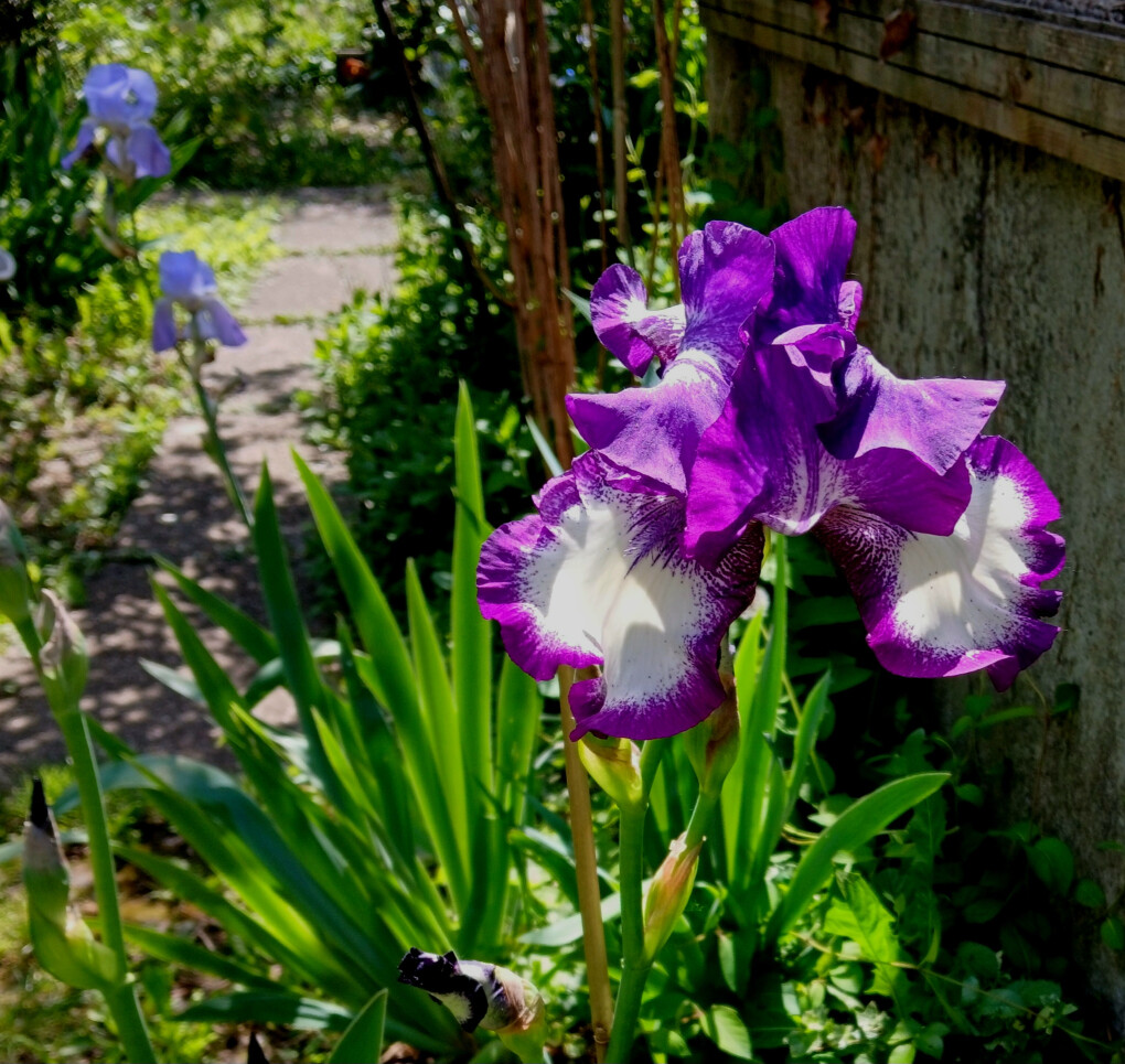 6484406.jpg 6484406.jpg