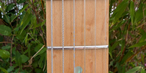 Fender Telecaster Special Edition Lite Ash 2006