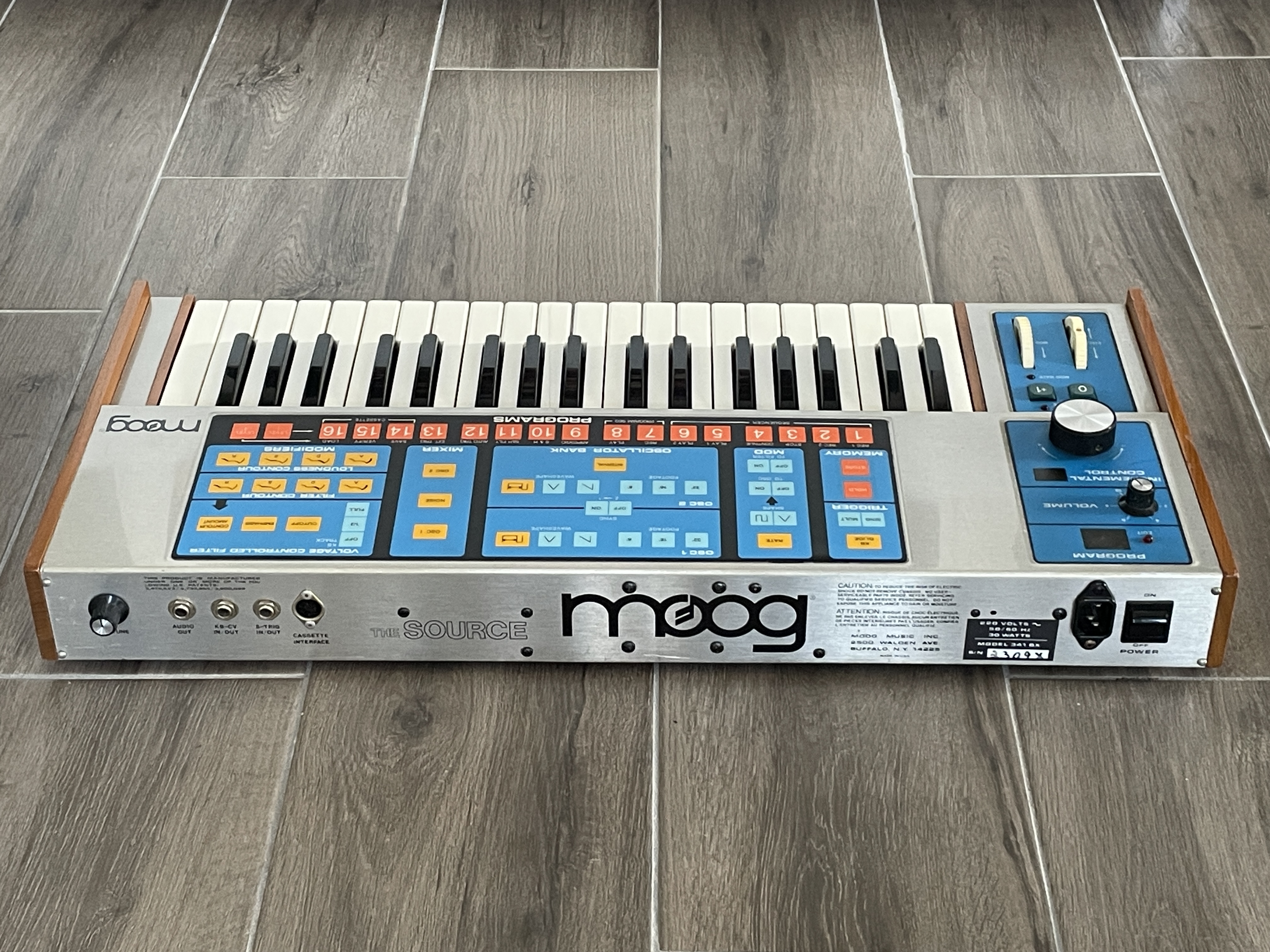 Moog Music The Source (36321)