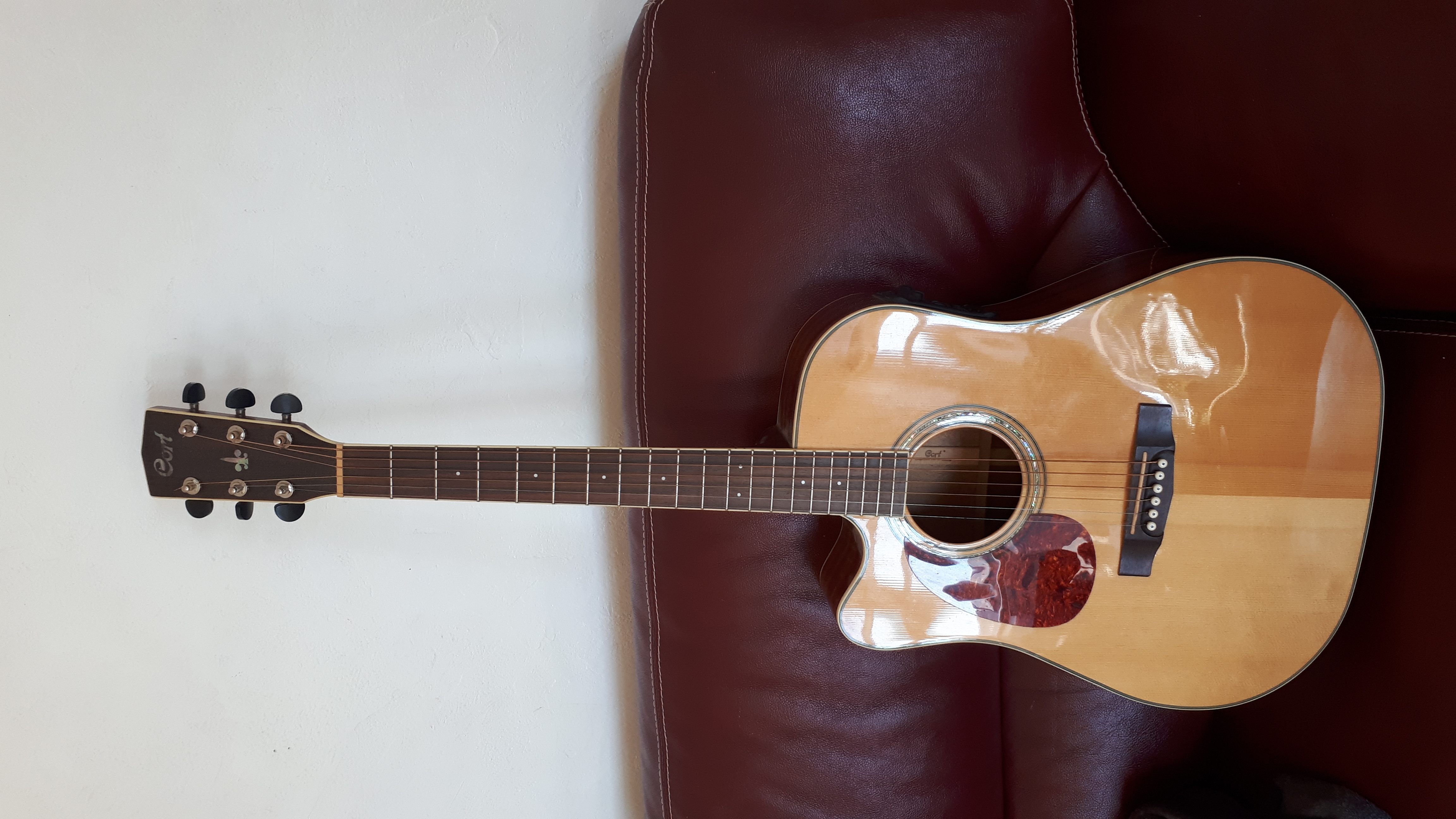 Cort Gaucher parfait état 