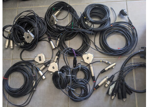 PXL 20250425 085507193
