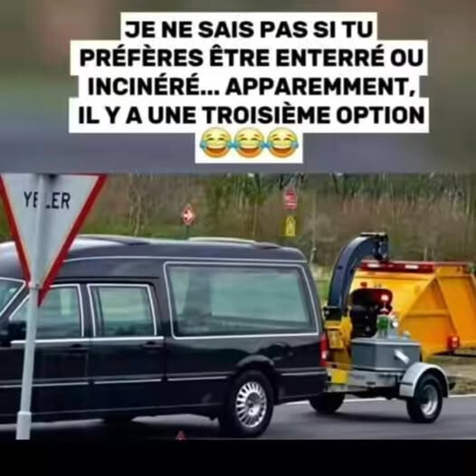 6487099.jpg 6487099.jpg