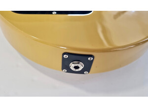 Gibson Les Paul Special Double Cut 2015 (67032)