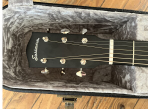 Eastman E10SS (78763)