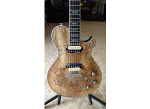 Michael Kelly Guitars Patriot Limited