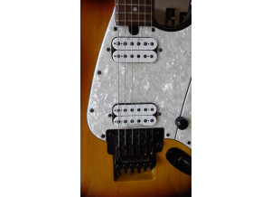 Floyd Rose Redmond Series Model 2 (71230)