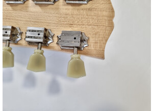 Gibson SG Special Raw Power (9402)