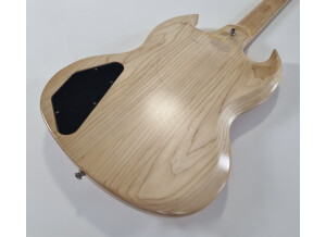 Gibson SG Special Raw Power (80236)