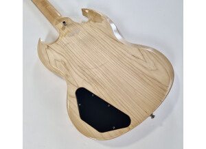 Gibson SG Special Raw Power (11740)