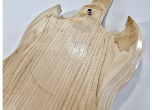 Gibson SG Special Raw Power (92150)